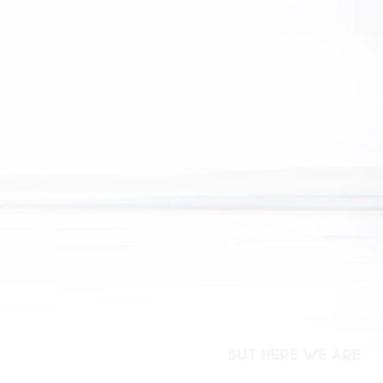 FOO FIGHTERS But Here We Are 1 LP Vinyl (Special Edition - White Vinyl)